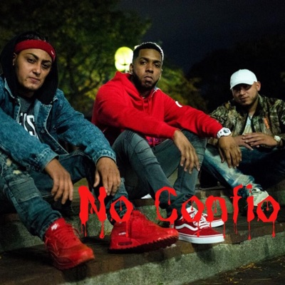 No Confio (Deluxe) [feat. J Anthony, Bebo "El Gallo Fino" & R.V.I.Z] - Single