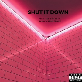 Shut It Down (feat. Gamo & Josh Frank) Felix The Don