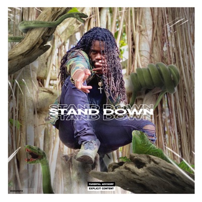 Stand Down - Single