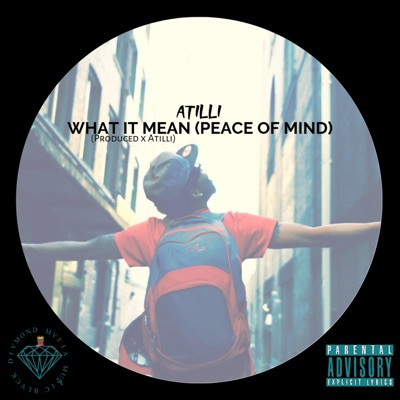 What It Mean (Peace of Mind) - Single