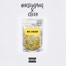 No Hook (feat. Cu$h) MikeyGang
