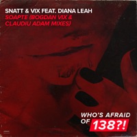 Soapte (feat. Diana) [Bogdan Vix & Claudiu Adam Mixes] - EP - Snatt & Vix