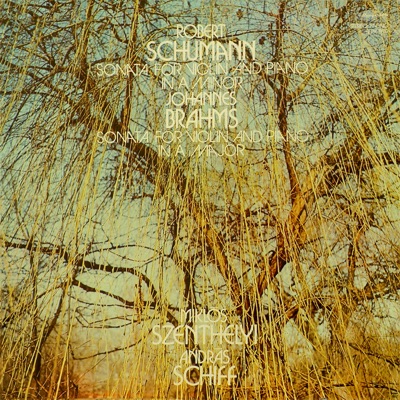 Robert Schumann: Sonata for Violin and Piano in a Minor – Johannes Brahms: Sonata for Violin and Piano in a Major