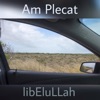 libEluLLah - 13 Iunie