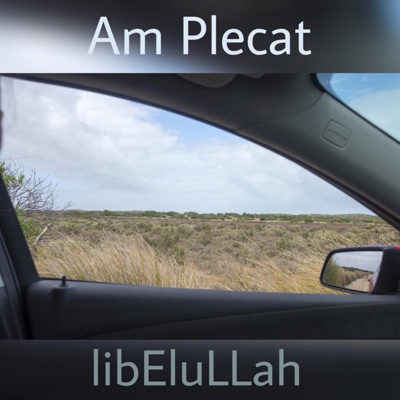 Am Plecat