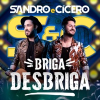 Briga, Desbriga (Ao Vivo) - Single - Sandro e Cícero