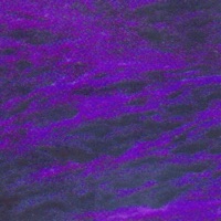 Slip'n - Single - Triathalon