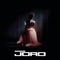 Joro artwork