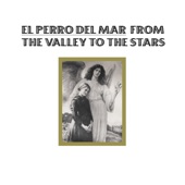 From the Valley to the Stars artwork