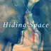 Hiding Space (feat. Ola Kvernberg) - Single album cover