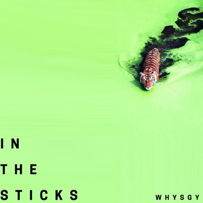 In the Sticks - Single