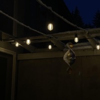 Summer Nights - Single - Maxrrss