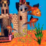 Ani DiFranco - Little Plastic Castle