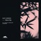 Never Say (Ultravizion Remix) - Santi Cebrero lyrics