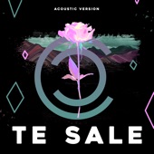 Te Sale (Acoustic Version) artwork