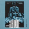 Suboxone (feat. Shakewell & DaBaby) - Single