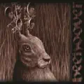 Spirit & Crown