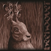 Spirit & Crown