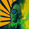 Vybes