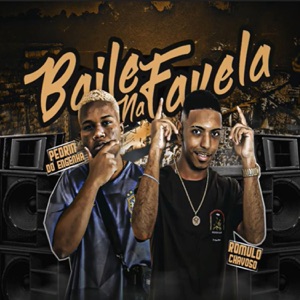 Baile na Favela (feat. Mc Pedrin do Engenha)