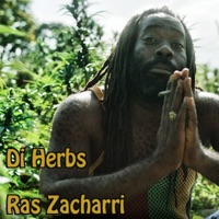 Di Herbs - Single - Ras Zacharri