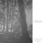 Always Straight Ahead - Single
