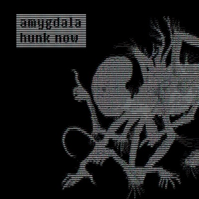 Amygdala - Single