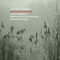 Tiny Grass Is Dreaming (feat. Espen Laub von Lillienskjold, Jacob Anderskov & Magnus Thuelund) - Jonathan Andersen