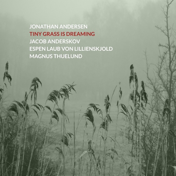 Tiny Grass Is Dreaming (feat. Espen Laub von Lillienskjold, Jacob Anderskov & Magnus Thuelund)