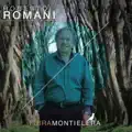 BAILARIN DEL FESTIVAL