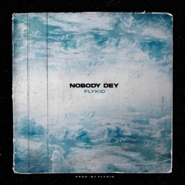 Nobody Dey FlyKid