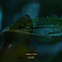 Habibi Café - Single - Assal Cobra