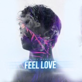 Feel Love (Extended Mix) artwork