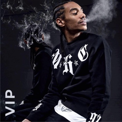 VIP (feat. Nick Bricks) [VIP] - Single