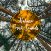 Nature Forest Sounds - 群星