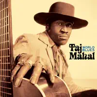 Hesitation Blues (Live) — Taj Mahal
