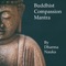 Buddhist Compassion Mantra artwork