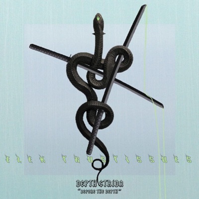 Flex // Trust Issues - Single