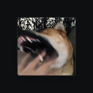 Wolvves
