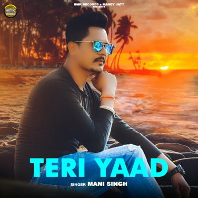 Teri Yaad - Single