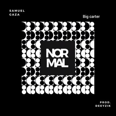 Normal (feat. Big Carter) - Single