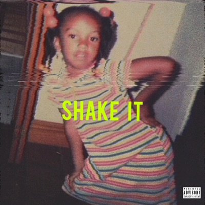 Shake It - Single