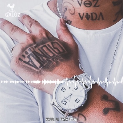 Voz Vida - Single