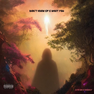 Don't Know If I Want You - Single