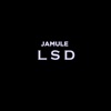 Jamule - Track 8