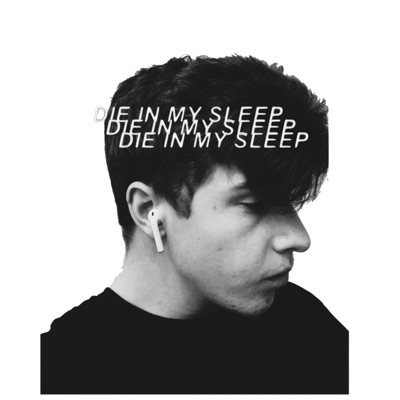 Die in My Sleep - Single