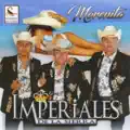 Sera por que te amo