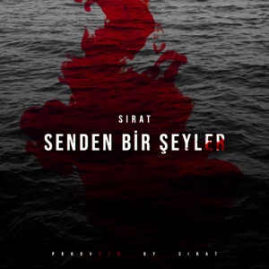 Senden Bir Şeyler