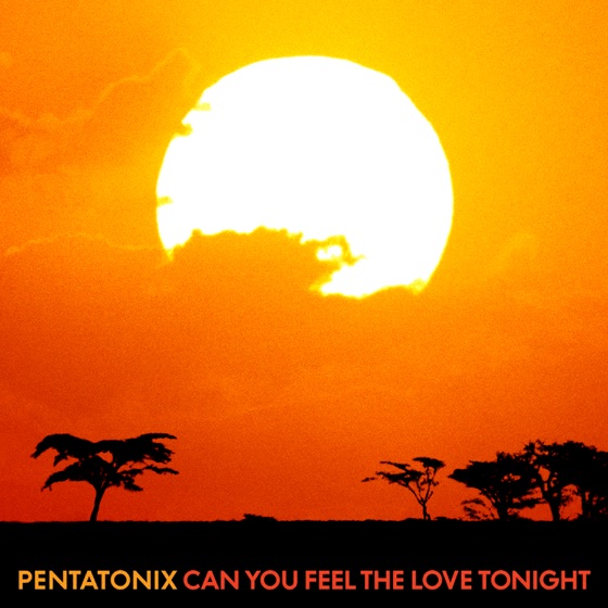 Cover artwork for Can You Feel the Love Tonight