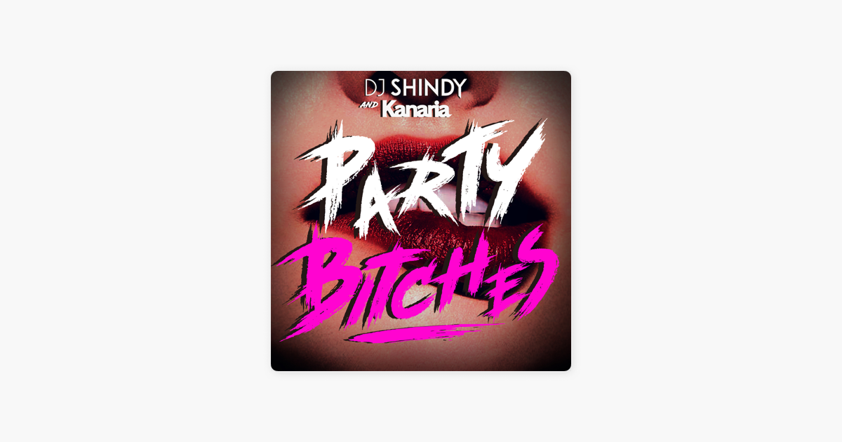 Party Bitches Single By Dj Shindy Kanaria On Apple Music